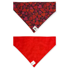 Charger l'image dans la galerie, Foulard 2 en 1 pour grand chien - StV001