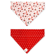 Charger l'image dans la galerie, Foulard 2 en 1 pour grand chien - StV009