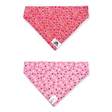 Charger l'image dans la galerie, Foulard 2 en 1 pour grand chien - StV025