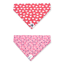 Charger l'image dans la galerie, Foulard 2 en 1 pour grand chien - StV027