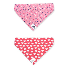 Charger l'image dans la galerie, Foulard 2 en 1 pour grand chien - StV028