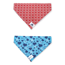 Charger l'image dans la galerie, Foulard 2 en 1 pour grand chien - StV031