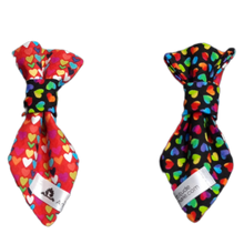 Charger l'image dans la galerie, Cravate 2 en 1 - 4 po - StV009