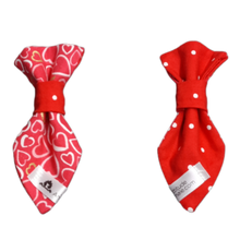 Charger l'image dans la galerie, Cravate 2 en 1 - 4 po - StV010