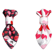 Charger l'image dans la galerie, Cravate 2 en 1 - 4 po - StV015