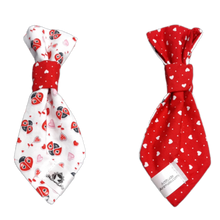 Charger l'image dans la galerie, Cravate 2 en 1 - 6 po - StV001