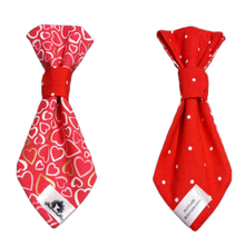 Charger l'image dans la galerie, Cravate 2 en 1 - 6 po - StV010