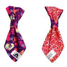 Charger l'image dans la galerie, Cravate 2 en 1 - 6 po - StV016