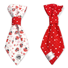 Charger l'image dans la galerie, Cravate 2 en 1 - 8 po - StV001