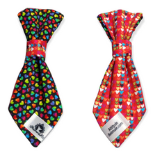 Charger l'image dans la galerie, Cravate 2 en 1 - 8 po - StV008
