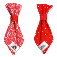 Charger l'image dans la galerie, Cravate 2 en 1 - 8 po - StV010