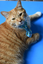 Charger l'image dans la galerie, Cravate 2 en 1 - 4 po - G005