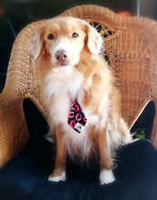 Charger l'image dans la galerie, Cravate 2 en 1 - 8 po - Carreauté classique de Noël