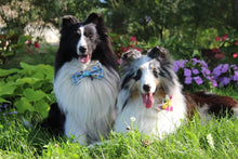 Charger l'image dans la galerie, Nœud papillon pour grand chien - Noël no 61