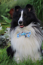 Charger l'image dans la galerie, Nœud papillon pour grand chien - Noël no 59