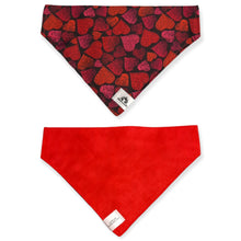 Charger l'image dans la galerie, Foulard 2 en 1 pour chien moyen - StV001