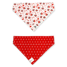 Charger l'image dans la galerie, Foulard 2 en 1 pour chien moyen - StV009