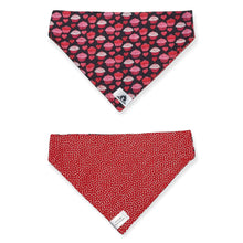 Charger l'image dans la galerie, Foulard 2 en 1 pour chien moyen - StV023