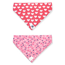 Charger l'image dans la galerie, Foulard 2 en 1 pour chien moyen - StV027