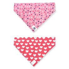 Charger l'image dans la galerie, Foulard 2 en 1 pour chien moyen - StV028
