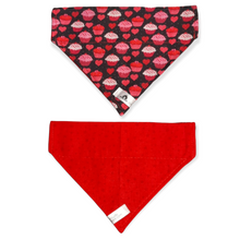 Charger l'image dans la galerie, Foulard 2 en 1 pour chat et petit chien - StV006