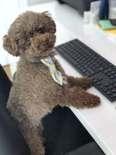 Charger l'image dans la galerie, Cravate 2 en 1 - 4 po - G013