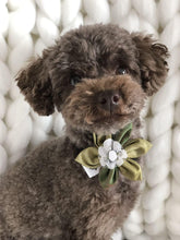 Charger l'image dans la galerie, Fleur pour chien ou chat - Féérie de Noël bleu - no 121