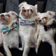 Charger l'image dans la galerie, Nœud papillon pour chat ou petit chien - Noël no 24