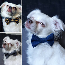 Charger l'image dans la galerie, Nœud papillon pour chat ou petit chien - Noël no 21