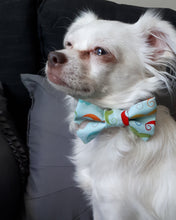 Charger l'image dans la galerie, Nœud papillon pour chat ou petit chien - Noël no 25