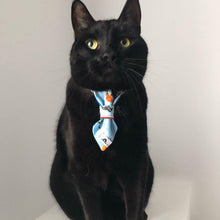 Charger l'image dans la galerie, Cravate chic- 4 po - Boules de Noël bleues