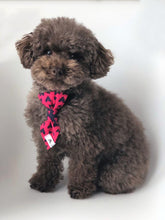 Charger l'image dans la galerie, Cravate 2 en 1 - 4 po - Volutes dorées de Noël