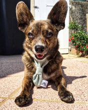 Charger l'image dans la galerie, Cravate 2 en 1 - 4 po - G009