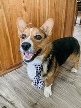 Charger l'image dans la galerie, Cravate 2 en 1 - 6 po - Turquoise et vert lime