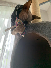 Charger l'image dans la galerie, Jouet pour chat avec herbe à chat – tête de chat no 19