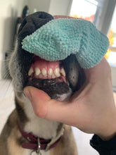 Charger l'image dans la galerie, Brosse à dents Doigtier en microfibre pour animaux
