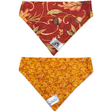 Charger l'image dans la galerie, Foulard 2 en 1 pour chat et petit chien - Automne A007