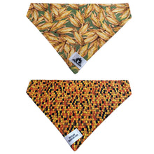 Charger l'image dans la galerie, Foulard 2 en 1 pour grand chien - Automne A008