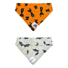 Charger l'image dans la galerie, Foulard 2 en 1 pour chat et petit chien - Chats noirs Halloween