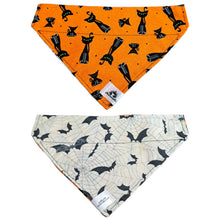 Charger l'image dans la galerie, Foulard 2 en 1 pour chien moyen - Chats noirs Halloween