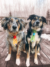 Charger l'image dans la galerie, Cravate chic - 8 po - Classique de Noël brillant