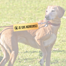 Charger l'image dans la galerie, Manchon de laisse JE SUIS NERVEUX(SE) pour Chien anxieux réactif