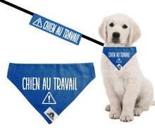 Charger l'image dans la galerie, Kit manchon de laisse et foulard CHIEN AU TRAVAIL