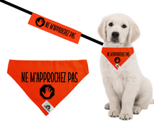 Charger l'image dans la galerie, Kit manchon de laisse et foulard NE M'APPROCHEZ PAS