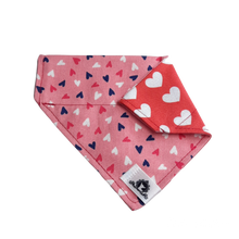 Charger l'image dans la galerie, Foulard 2 en 1 pour chat et petit chien - StV028