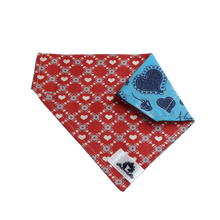 Charger l'image dans la galerie, Foulard 2 en 1 pour chat et petit chien - StV031