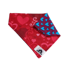 Charger l'image dans la galerie, Foulard 2 en 1 pour chat et petit chien - StV036