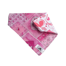Charger l'image dans la galerie, Foulard 2 en 1 pour chat et petit chien - StV010
