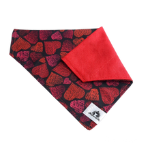 Charger l'image dans la galerie, Foulard 2 en 1 pour chien moyen - StV001