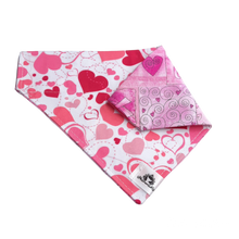 Charger l'image dans la galerie, Foulard 2 en 1 pour chien moyen - StV007